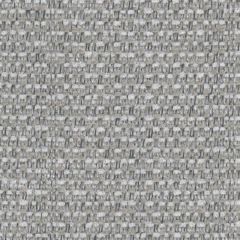 Perennials Wild and Wooly Nickel 976-296 Rodeo Drive Collection Upholstery Fabric