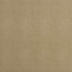 Kravet Couture Epitome Putty 16 Faux Leather Indoor Upholstery Fabric