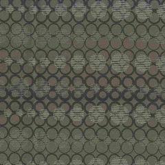 Crypton Chicago 97 Iron Indoor Upholstery Fabric