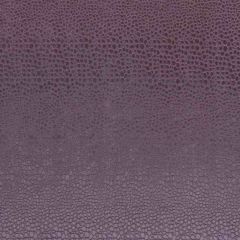 Clarke and Clarke Pulse Grape F0469-08 Tempo Collection Upholstery Fabric