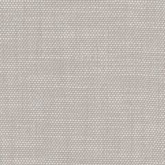 Perennials Rough 'n Rowdy White Sands 955-270 Beyond the Bend Collection Upholstery Fabric