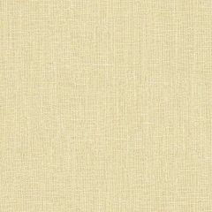 Kravet Basics Beige 32612-111 Perfect Plains Collection Multipurpose Fabric