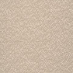 Robert Allen Flicker Bk Sand 250018 Multipurpose Fabric