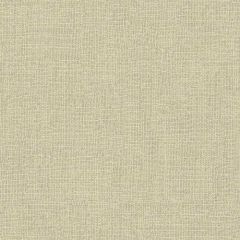 Kravet Basics Beige 32612-1611 Perfect Plains Collection Multipurpose Fabric
