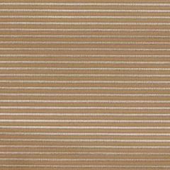 Robert Allen Private Lines Sesame Color Library Collection Indoor Upholstery Fabric