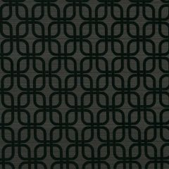 Robert Allen Plush Links Nightsky 226718 Indoor Upholstery Fabric
