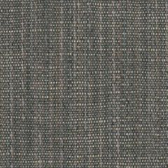 Perennials Stree-Yay! Flint 942-215 Kidding Around Collection Upholstery Fabric