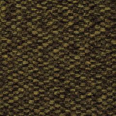 Robert Allen Kaminski Sable Color Library Collection Indoor Upholstery Fabric