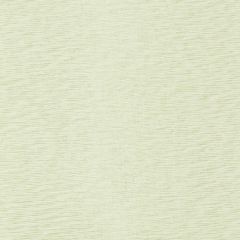Robert Allen Nashua-Endive 243406 Decor Multi-Purpose Fabric