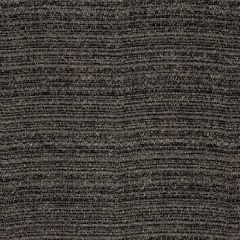 Robert Allen Plush Plain Chalkboard Performance Chenille Collection Indoor Upholstery Fabric