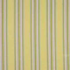 Robert Allen Villa Stripe Spring 135059 Indoor Upholstery Fabric