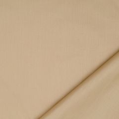 Robert Allen Ultima Dawn Essentials Multi Purpose Collection Indoor Upholstery Fabric