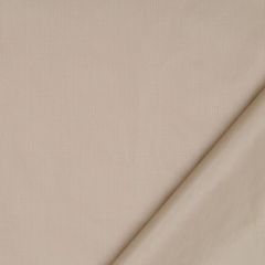 Robert Allen Ultima Stone Essentials Multi Purpose Collection Indoor Upholstery Fabric