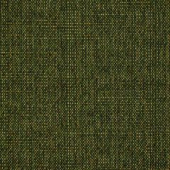 Robert Allen Clarence Vert Essentials Collection Indoor Upholstery Fabric