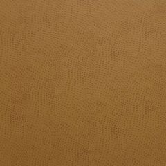 Kravet Design Orange Delaney 12 Indoor Upholstery Fabric