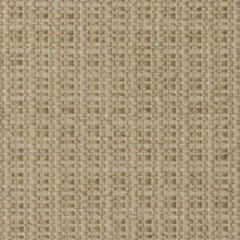 Robert Allen Rough Crossing Parchment Color Library Collection Indoor Upholstery Fabric