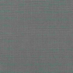 Robert Allen Henry Square Denim 259172 Nomadic Color Collection Indoor Upholstery Fabric