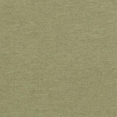 Duralee Moss 36252-257 Decor Fabric