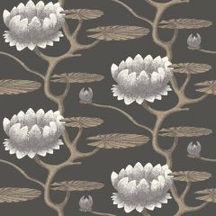 Cole and Son Summer Lily Black / White / Gold 95-4026 Contemporary Restyled Collection Wall Covering