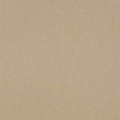 Robert Allen Linen Endure Linen 256800 Indoor Upholstery Fabric