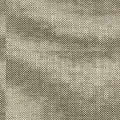 Kravet Kolam Breeze 31888-1616 by Candice Olson Multipurpose Fabric