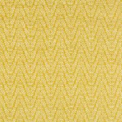 Lee Jofa Modern Topaz Weave Chartreuse GWF-3750-404 Gems Collection Indoor Upholstery Fabric