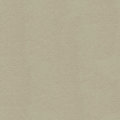 Lee Jofa Ultimate Putty 960122-1102 Ultimate Suede Collection Indoor Upholstery Fabric