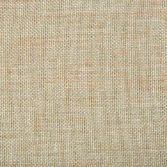 Kravet Smart 34939-415 Indoor Upholstery Fabric