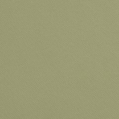 Kravet Contract Iron Man Fern 30 Faux Leather Extreme Performance Collection Upholstery Fabric