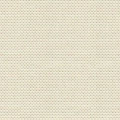 Kravet Design Sener Ivory 33887-1 Constantinople Collection Indoor Upholstery Fabric