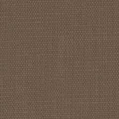 Perennials Rough 'N Rowdy R-Solid Mocha 955-404 Beyond the Bend Collection Upholstery Fabric
