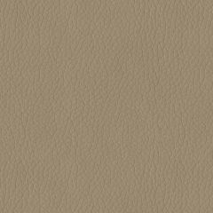 ABBEYSHEA Premier 3948 Taupe Indoor Upholstery Fabric