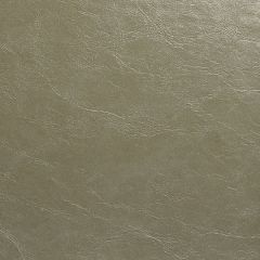 ABBEYSHEA Glaze 107 Pumice Indoor Upholstery Fabric
