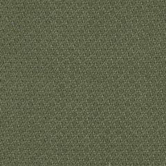 Gaston Y Daniela Ordono Verde Lorenzo Castillo Collection Indoor Upholstery Fabric