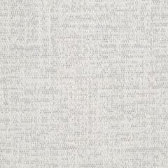 Beacon Hill Flaxen Weave-Silver 246569 Fabric