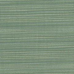 Perennials Snazzy Sea Foam 675-123 The Usual Suspects Collection Upholstery Fabric