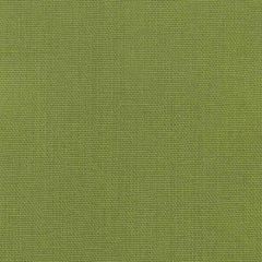 Stout Oakley Lime 19 Fairwind Canvas Collection Multipurpose Fabric