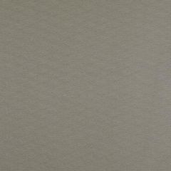 Duralee Graphite 32725-174 Decor Fabric