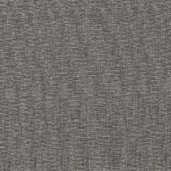 Robert Allen Easy Chenille Mica Performance Chenille Collection Indoor Upholstery Fabric