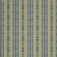 Robert Allen Tia Stripe Rr Calypso 246430 Indoor Upholstery Fabric