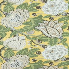 Thibaut Mitford Yellow F92947 Paramount Collection Indoor Upholstery Fabric