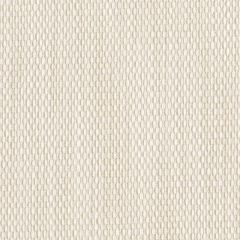 Perennials Tisket Tasket Sea Salt 920-124 Rodeo Drive Collection Upholstery Fabric