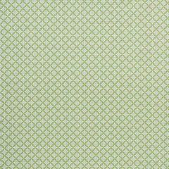 F Schumacher Serendipity Green 177961 Clique Collection Indoor Upholstery Fabric