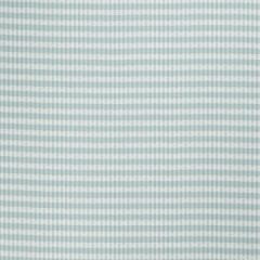 Robert Allen Betsy Gingham Water 244325 Color Library Collection Multipurpose Fabric
