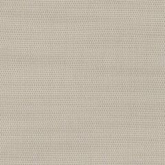 Perennials Slubby Alabaster 655-228 No Hard Feelings Collection Upholstery Fabric