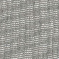 Perennials Rough 'n Rowdy Platinum 955-207 Beyond the Bend Collection Upholstery Fabric