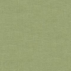 Kravet Dublin Leaf 32344-30 Multipurpose Fabric