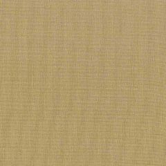 Stout Gorgeous Bamboo 45 Softer Side Faux Silk Collection Drapery Fabric