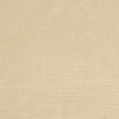Silver State Thompson Almond Velour Supreme Collection Multipurpose Fabric