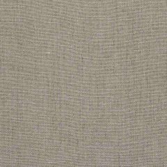Robert Allen Astamor-Nougat 196566 Decor Drapery Fabric